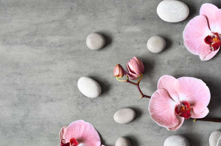 Flat lay composition with spa stones, orchid pink flower on gray background. Spa concept.の写真素材