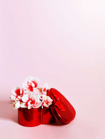 Heart shape red gift box and bouquet on pink background.の写真素材