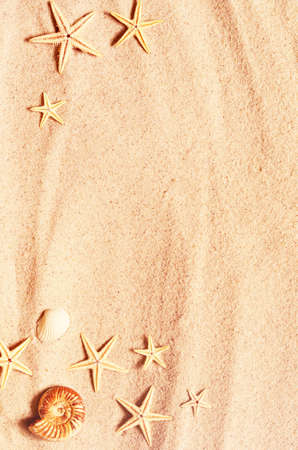 Seashell and starfish pattern on the sandy beach. Summer background. Summer time.の写真素材