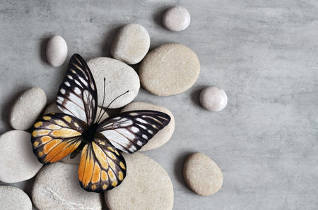 Flat lay composition with gray spa stones and butterfly on gray background.の写真素材