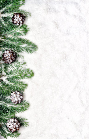 Snow background with snowy fir branches and pine cones.