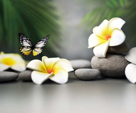 Spa stones, butterfly, palm branch and flower plumeria on gray background.の写真素材