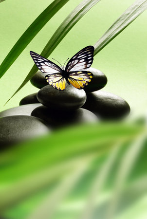 Spa stones with palm branch and butterfly on light background. Spa concept.の写真素材