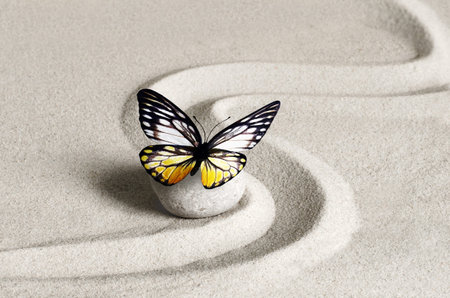 Japanese zen garden meditation stone, butterfly, concentration and relaxation sand for harmony and...