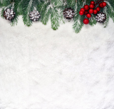 Snow background with snowy fir branches and pine cones. Christmas decoration.