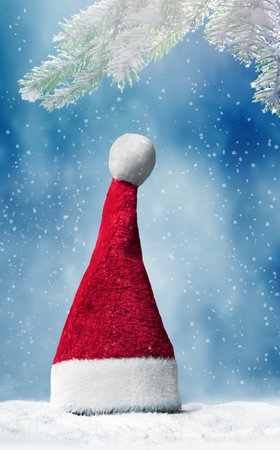 Santa hat and fir branch on snow on blue background, Christmas decoration. Christmas background.の写真素材