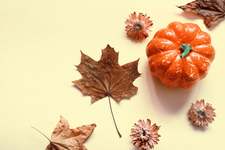 Creative pattern, autumn background. Pumpkin and leaves on a white background. Halloween.の写真素材