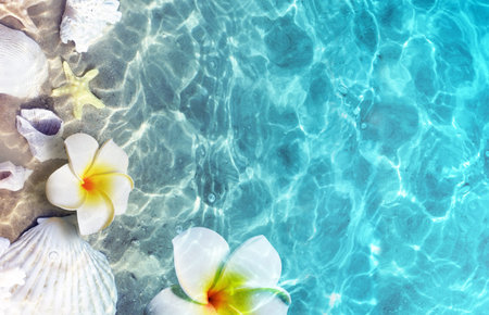 Starfish, flower and seashell on the summer beach in sea water. Summer background. Summer time.
