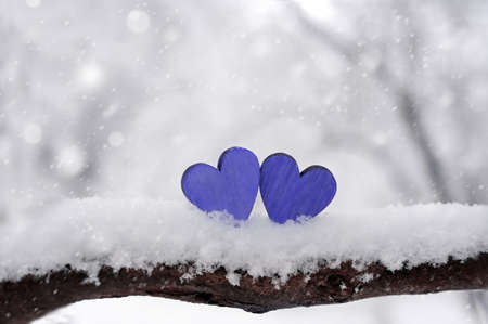 Blue hearts on snowy tree branch in winter. Holidays. Happy valentines day celebration. Heart love concept.の写真素材