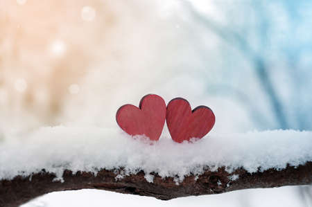 Red hearts on snowy tree branch in winter. Holidays. Happy valentines day celebration. Heart love concept.の写真素材