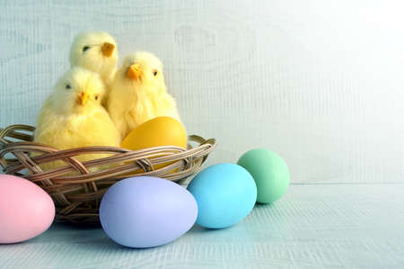 Easter eggs and yellow chicks on a gray background. The minimal concept. Easter card. holiday concept.の写真素材