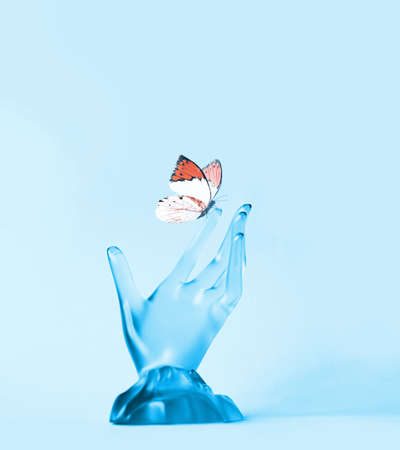 Hand holding a butterfly against a blue background. spring concept.の写真素材