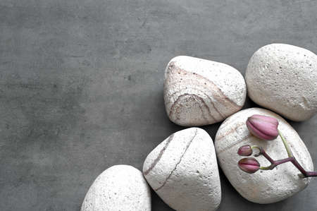 Flat lay composition with spa stones, orchid pink flower on gray background. spa concept.の写真素材