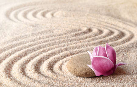 Japanese zen garden meditation stone and pink magnolia, concentration and relaxation sand and rock for harmony and balance.の写真素材