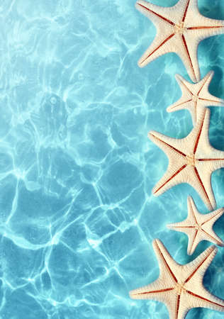 Starfish on the summer beach in sea water. Summer background. Summer time.の写真素材