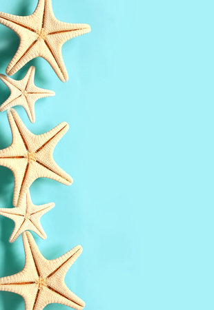 Starfish on the summer blue background. summer background. summertime.