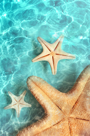 Starfish on the summer beach in sea water. Summer background. Summer time.の写真素材
