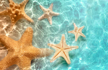 Starfish on the summer beach in sea water. Summer background. Summer time.の写真素材