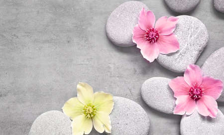 Spa stones and pink flowers on the gray background. spa concept.の写真素材