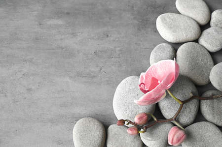 Flat lay composition with spa stones, orchid pink flower on gray background. spa concept.の写真素材