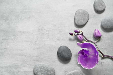 Flat lay composition with spa stones, orchid violet flower on gray background. spa concept.の写真素材