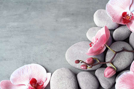 Flat lay composition with spa stones, orchid pink flower on gray background. spa concept.の写真素材