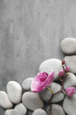 Flat lay composition with spa stones, orchid pink flower on gray background. spa concept.の写真素材