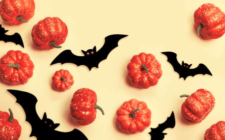 Orange Halloween background. Black bats and orange pumpkins. autumn decoration. Halloween concept. top view.の写真素材