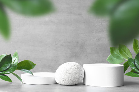 Minimal cosmetic background for product presentation. Podium and green leaf of zamioculcas on gray color backgroundの写真素材
