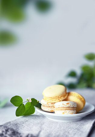 macaroons. Yellow macaroons with green leaves. Delicious french desserts. Macaroons on the table.の写真素材