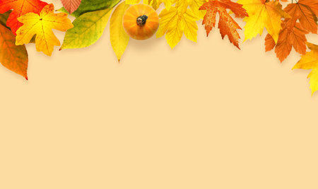 Isolated autumn colorful leaves on yellow background. fall concept.の写真素材