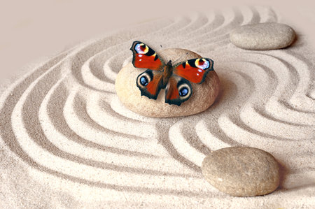 zen garden meditation stone background and butterfly with stones and lines in sand for relaxation balance and harmony spirituality or spa wellness.の写真素材