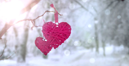 Red hearts on snowy tree branch in winter. Holidays. Happy valentines day celebration. Heart love concept.の写真素材