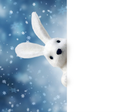 Toy Rabbit Bunny symbol of new year 2023 on the blue background. Inscription HAPPY NEW YEAR 2023. New Year conceptの写真素材