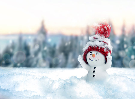 One little snowmen in caps on snow in the winter. Festive background with a funny snowman. Christmas card, copy space.の写真素材