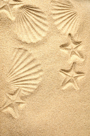 Top view of a sandy beach. Sand background. Imprints of mollusks and starfish in the sand. Sandy beach concept.の写真素材