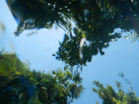 Blue summer sky was photographed from underwater
