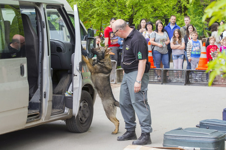 SZEGED, HUNGARY - APRIL 26. 2015 - Excise officer (NAV) holds a presendation with a drug detection dog in the 'Earth day' event in Szeged Zoo.のeditorial素材