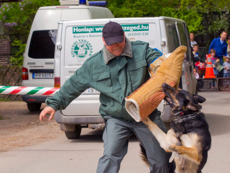 SZEGED, HUNGARY - APRIL 26. 2015 - Excise officer (NAV) holds a presendation with a working dog in the 'Earth day' event in Szeged Zoo.のeditorial素材