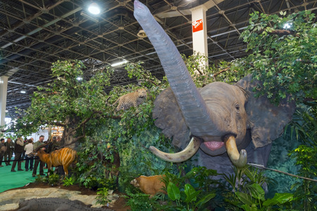 BUDAPEST, HUNGARY - FEBRUARY 22. 2016 - Exhibit of African prepared animals at the Fishing, Hunting and Arms International Exhibition of Hungary (FeHoVa) in HUNGEXPOのeditorial素材