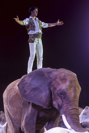 Man on the Elephantのeditorial素材