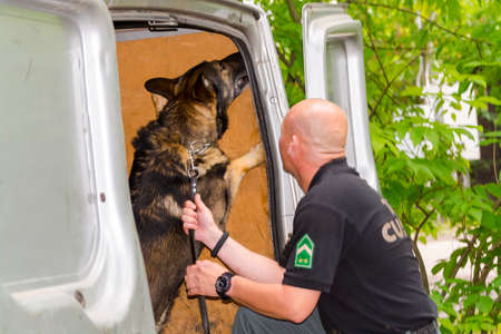 SZEGED, HUNGARY - JUNE 07. 2016 - Sniffer dog presentation of the National Tax and Customs Administration of Hungary NAV in Szeged Zooのeditorial素材