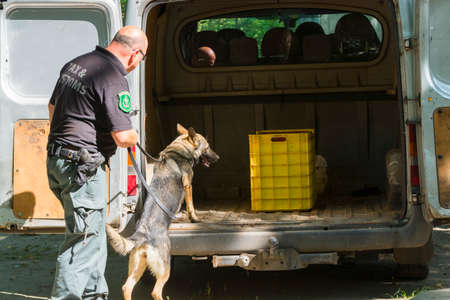 SZEGED, HUNGARY - AUGUST 02. 2016 - Sniffer dog presentation of the National Tax and Customs Administration of Hungary NAV in Szeged Zoo b By belizarのeditorial素材