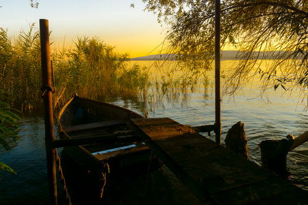 Old boat and reeds at Balatonfuzfo in Balatonの写真素材