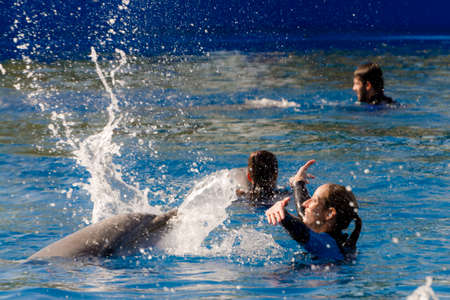 VALENCIA, SPAIN - SEPTEMBER 18, 2019: Dolphin show with common bottlenose dolphin in the Oceanographic Valenciaのeditorial素材
