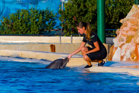 ATHENS, GREECE - SEPTEMBER 20. 2018: Dolphin show at the Zoo Athensのeditorial素材