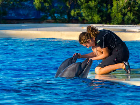 ATHEN, GREECE - SEPTEMBER 20, 2018 - Bottlenose dolphin (Tursiops truncatus) show at the Attica Zooのeditorial素材
