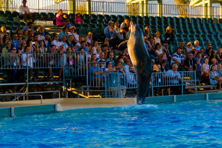 ATHENS, GREECE - SEPTEMBER 20. 2018: Dolphin show at the Zoo Athensのeditorial素材