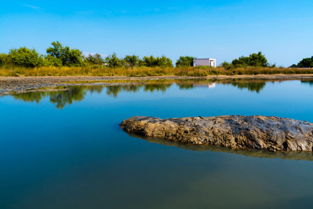 Ponds of black mud near Nin, in the beach of the Adriatic seaの写真素材