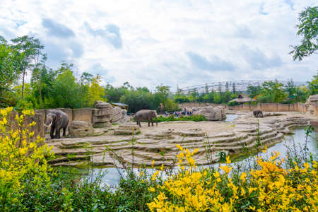 EMMEN, THE NETHERLANDS - SEPTEMBER 20, 2017: Asian Elephant Exhibit in the Wildlands, the zoo of Emmenのeditorial素材